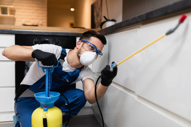 Best Emergency Pest Control  in Marine City, MI