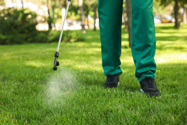 Professional Pest Control in Marine City, MI