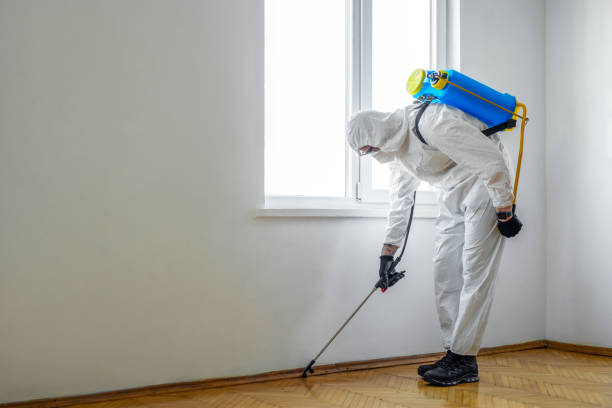 Best Pest Control Near Me  in Marine City, MI