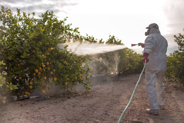 Best Wildlife Control Services  in Marine City, MI