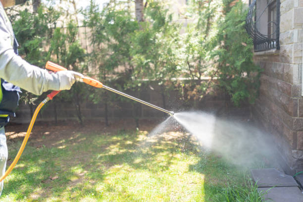 Best Best Pest Control Companies  in Marine City, MI