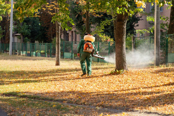 Best Flea Control Services  in Marine City, MI