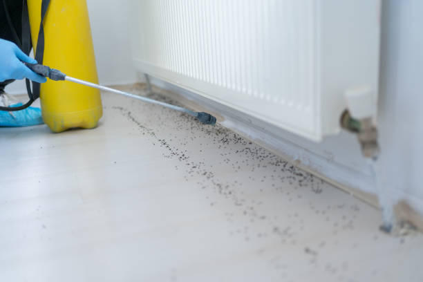 Best Local Pest Control Services  in Marine City, MI