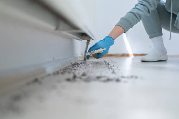 Best Commercial Pest Control Services  in Marine City, MI