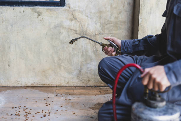 Best Mosquito Control Services  in Marine City, MI