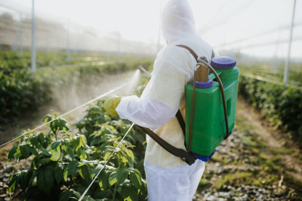Best Emergency Pest Control  in Marine City, MI